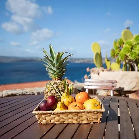 Weber - Homey Experience Apartmán